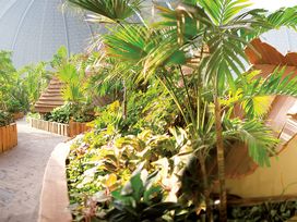 Tropisch Zelten nahe Berlin! 2 Tage Kurzurlaub mit Frühstück im Zelte at Tropical Islands