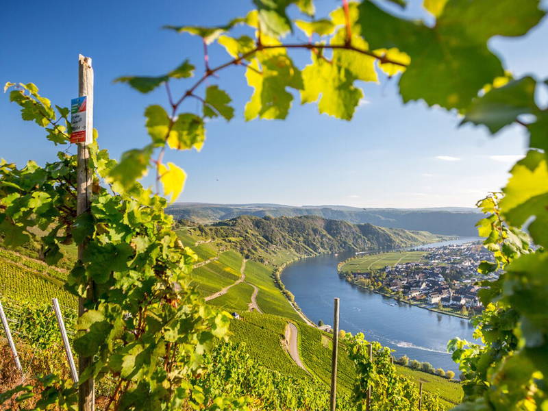 kurz-mal Silvester an der wunderschönen Mosel