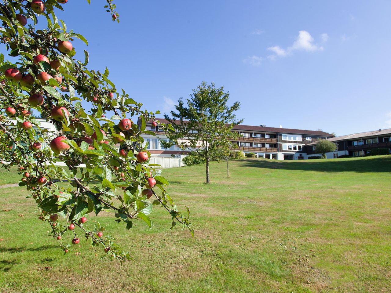 2 Tage Nordschwarzwald mit Frühstück