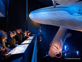 OZEANEUM Stralsund mit Ticket und Hotel