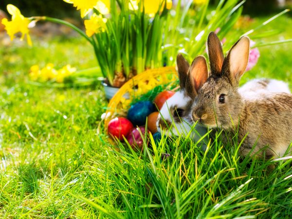 4 Tage Erholsame Oster-Auszeit mit Therme & Massage in Bad Füssing, Bayern inkl. Halbpension