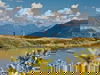 Das ist Urlaub inkl. Tirol West Card - 5 Nächte