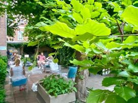 2 Tage im historischen Zentrum von Haarlem