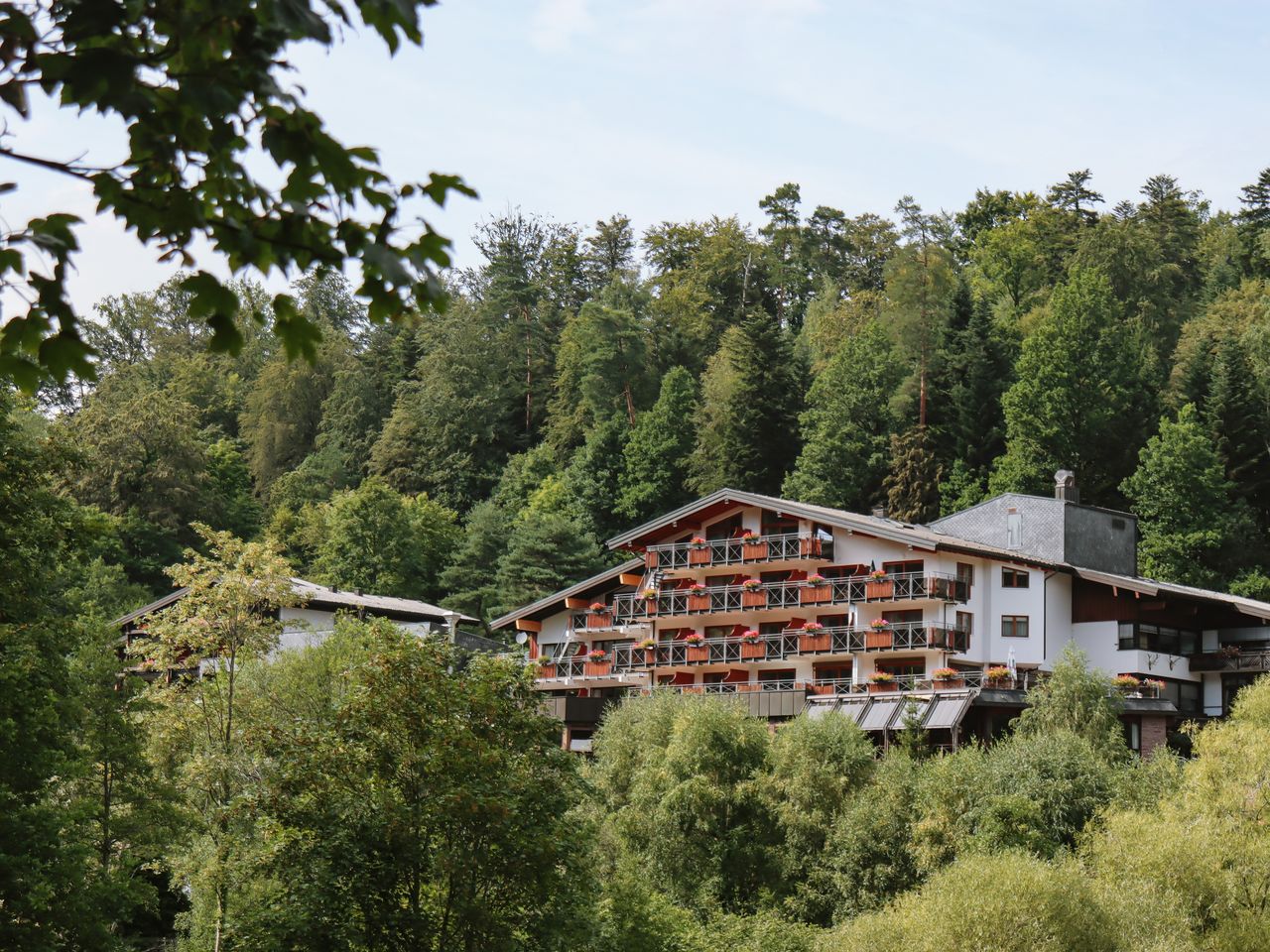 3 Tage Heimat Genuss Schwarzwald mit Baumwipfelpfad