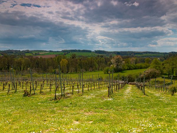 4 Tage Geultal erleben Wellness,Natur & Limburg-Flair in Houthem St. Gerlach Halbpension