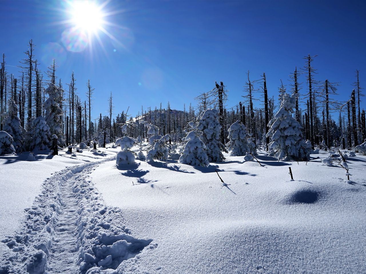 Romantisches Weihnachtsarrangement im Harz