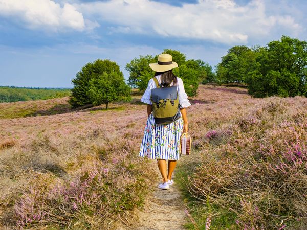 3 Tage 4 Wohlfühltage nahe Arnheim im Naturgebiet Veluwe in Wolfheze,  inkl. Halbpension