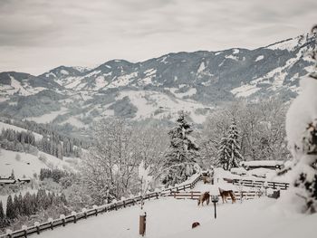 Familienurlaub & Bauernhoferlebnis im Salzburger Land