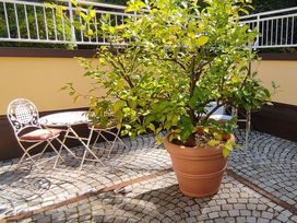 4 Nächte bleiben - 3 Nächte bezahlen
