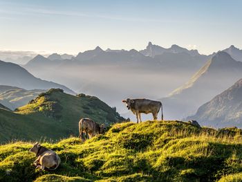 HERBSTZEIT UND AUSZEIT in den Bergen