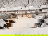 Last Minute in die Berge | Gut Berg Naturhotel