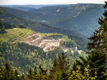 Tapetenwechsel Schwarzwald-Einfach was anderes sehen
