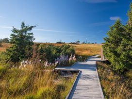 2 entspannte Tage im Schwarzwald mit HP