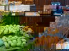 2 Tage im Best Western Plus Plaza