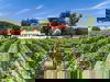 Romantik im Weingut: 