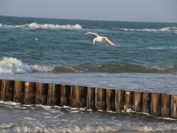 Ostsee-Romantik. Wohlfühl-Auszeit. 3 Tage am Strand. in Ostseeheilbad Graal-Müritz, Mecklenburg-Vorpommern inkl. Halbpension