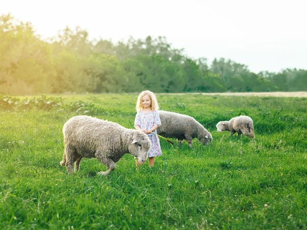 2 Tage Familienspaß: Entdecken Sie Natur und Tierwelten in Pfinztal, Baden-Württemberg inkl. Frühstück