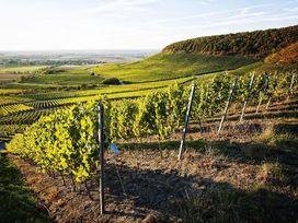 2 Tage im Vital Hotel An Der Therme in Bad Windsheim