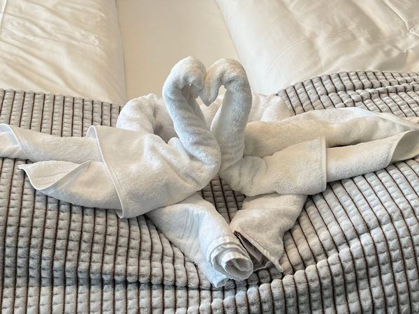 Gemütliche Kuschelzeit an der Nordseeküste in Nordseeheilbad Bensersiel Halbpension