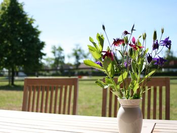 3 Tage Auszeit in Hirschburg: Nahe der Ostsee und Pferden