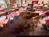 4 Tage im Hotel Markus Sittikus mit Frühstück