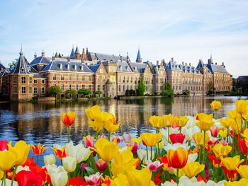 2 Tage Kurzurlaub mit Frühstück im Nordseka hotel The Hague Voorburg