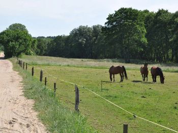 Bild 20 von 20