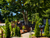 Top Wellness Deal - Ruhe im Bayerischen Wald genießen