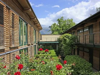 3 Tage München mit Erlebnistag in der Therme Erding