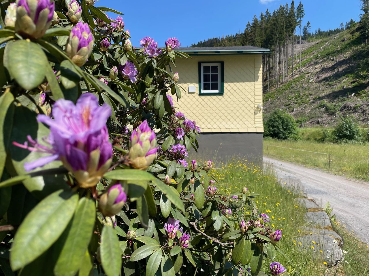 Romantik im Thüringer Wald: Sekt, Blumen & Fass-Sauna