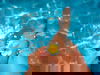 3 Winter - Relaxtage am See + Eintritt Therme und HP+