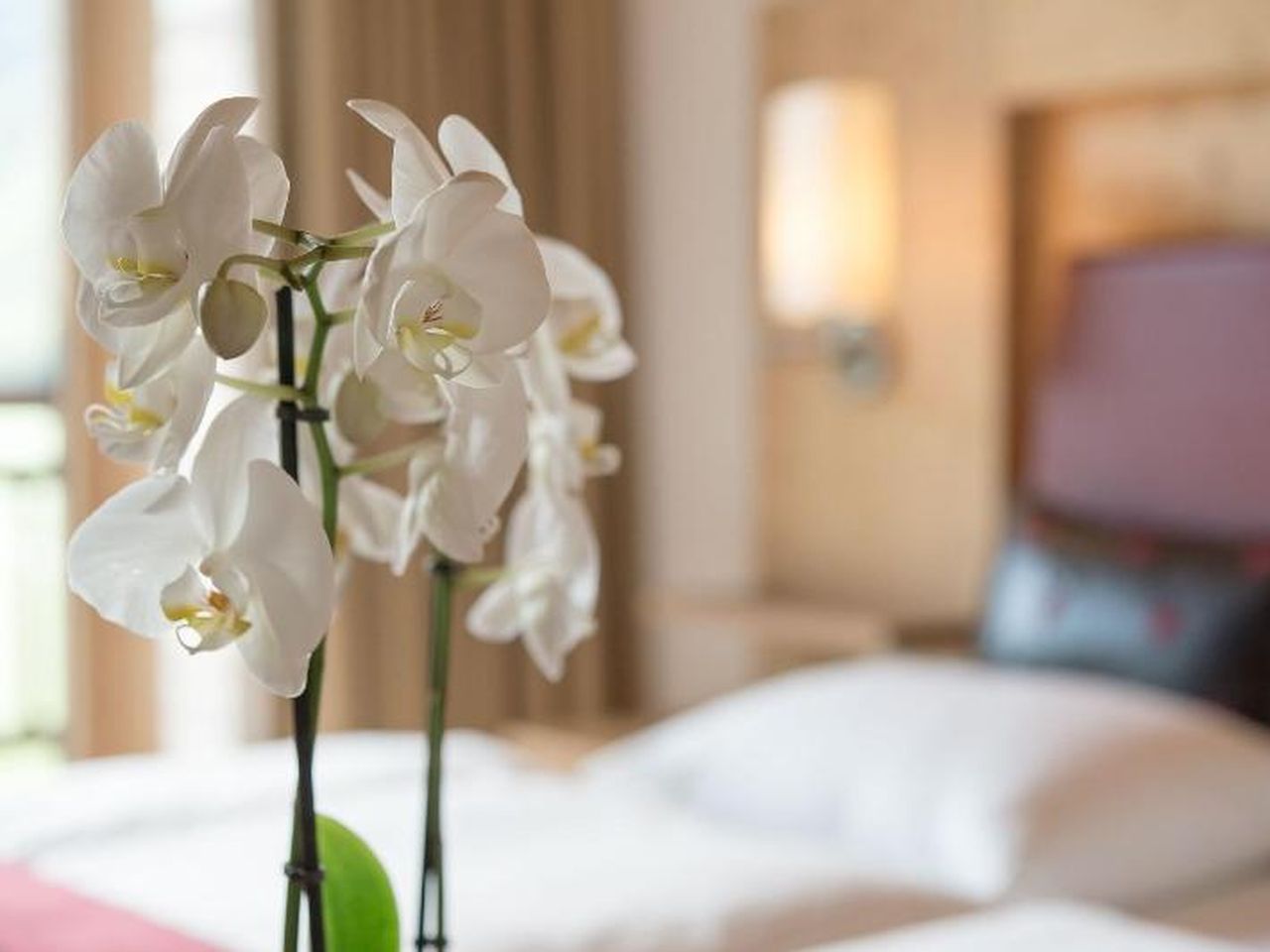 Wohlfühloase 3 Tage mit HP im Hotel Aqua Dome