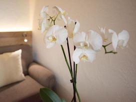 2 Tage Erholung für die ganze Familie am Schluchsee