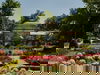 3 Tage Palmengarten Frankfurt Special