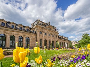 Goldener Herbst in Kassel