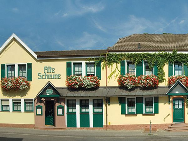 5 Tage Wandern zwischen Taunus und Wetterau in Frankfurt am Main, Hessen Halbpension