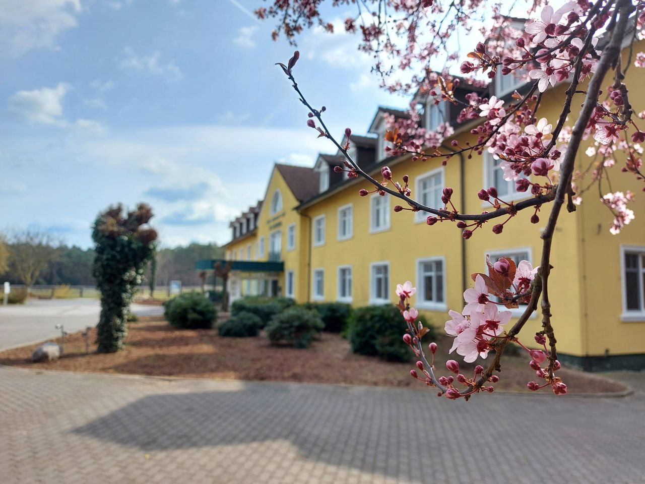 3 Tage Kultur pur im Ferien Hotel Fläming inkl. HP+