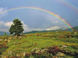 2 Tage Kurzurlaub mit Frühstück im Hotel Kirchenwirt