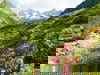 Entspannen im Zillertal - 7 Tage