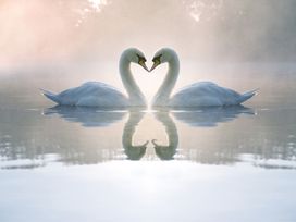 Winterschnäppchen am Beetzsee - 3 Tage inkl. HP plus