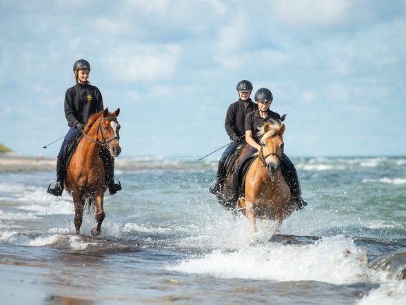 4 Tage Auszeit in Hirschburg: Nahe der Ostsee und Pferden