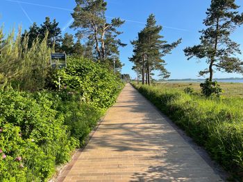 Urlaubswoche auf Rügen mit Abendbuffets 