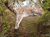 Tierpark Sababurg mit Hotel