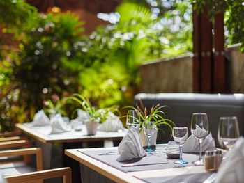 Tropisch Zelten nahe Berlin! 2 Tage Kurzurlaub mit Frühstück im Zelte at Tropical Islands