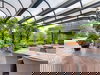 Idylle im Mittelrheintal & Eintritt Emser Therme