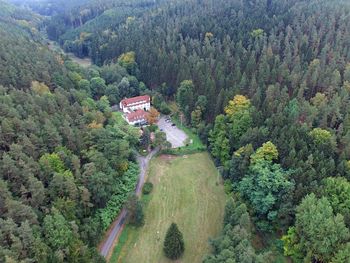 Wintererwachen im Wald