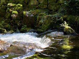 3 Wellnesstage im Schwarzwald mit Palais Thermal