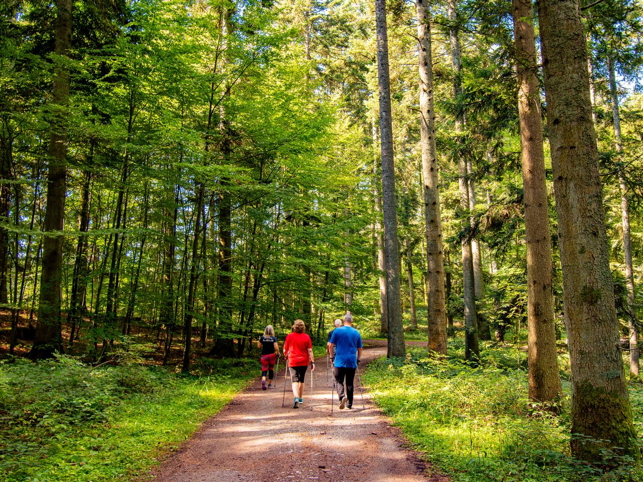 Albblick Basen-Wochen mit Vollpension - 15 Tage