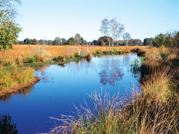 3 Tage Erholung & Naturgenuss im schönen Limburg in Arcen,  inkl. Halbpension