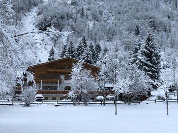 Bergluft, Erholung, Natur - 4 Tage im Pinzgau